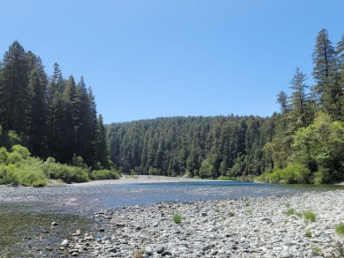 Discovering the Majesty of Redwood National Park